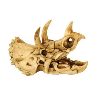 RepStyle Skull Dinosaur - Charterhouse Aquatics