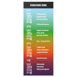 Reptile Systems Eco T5 Unit - Ferguson Zone 3, 24w 570mm - Charterhouse Aquatics