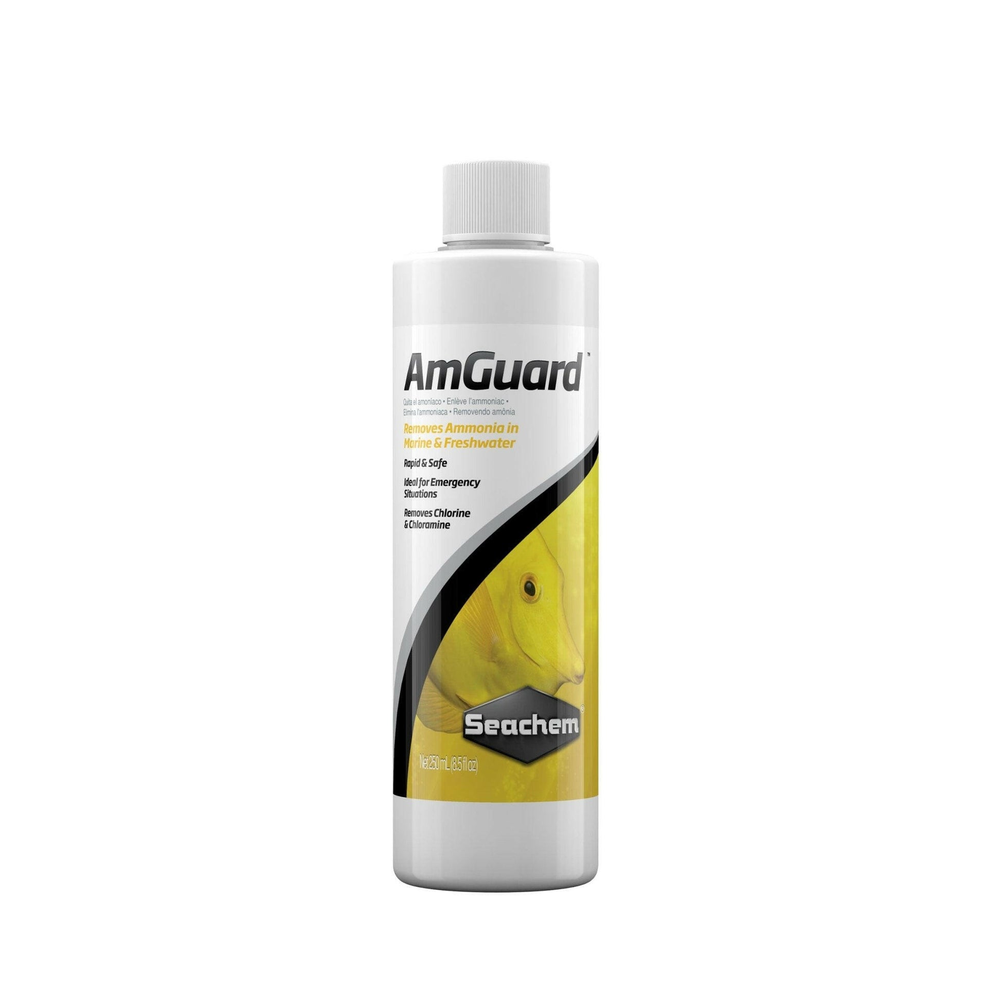 Seachem AmGuard 250ml - Charterhouse Aquatics