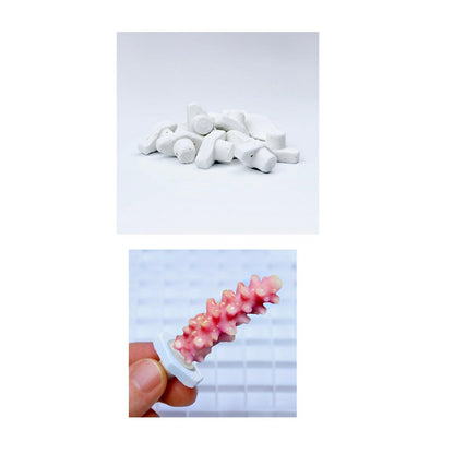 Seachem Coral Plugs - 12 Pieces - Charterhouse Aquatics