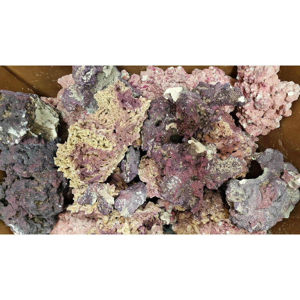 Selection of Damaged Aquaforest AF rock (5KG) - Charterhouse Aquatics