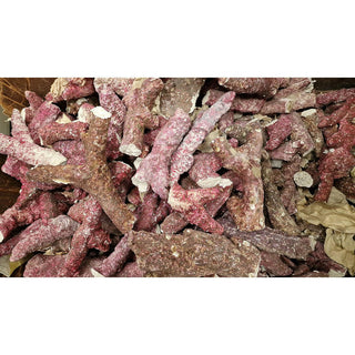 Selection of Damaged Branch standard Reef Rock (5KG) - Charterhouse Aquatics