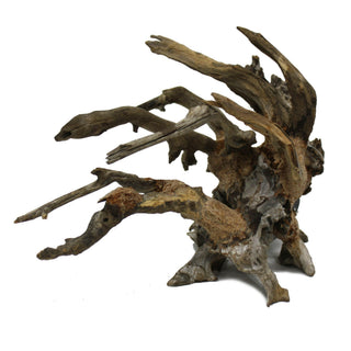 Spear Finger Wood - Extra Small - Charterhouse Aquatics