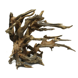 Spear Finger Wood - Medium - Charterhouse Aquatics