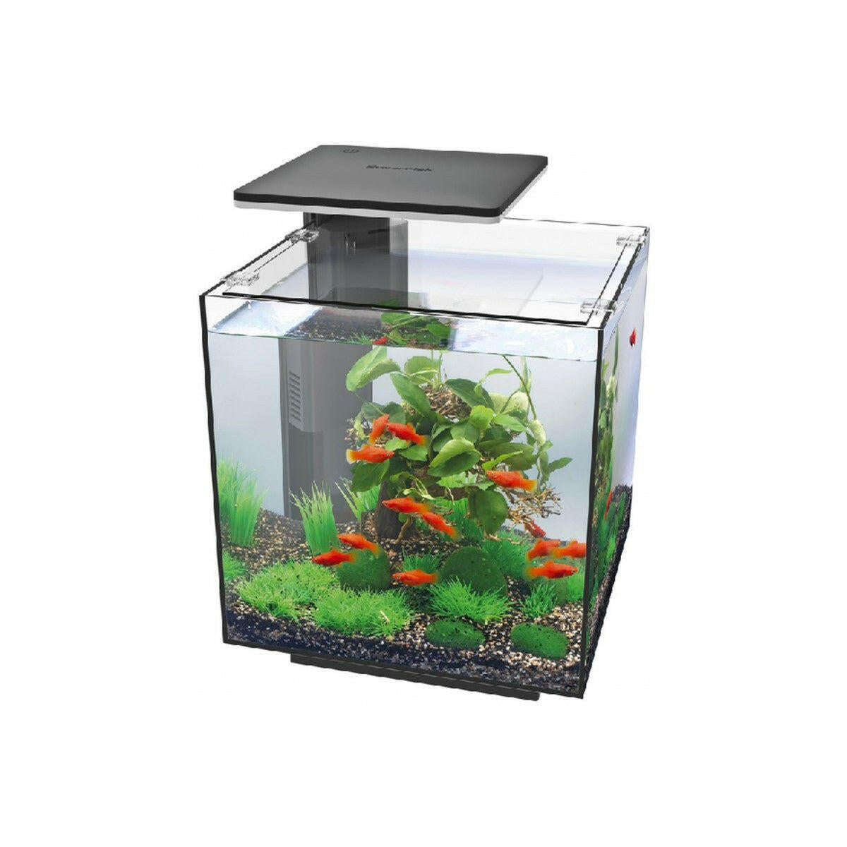 SuperFish QubiQ 30 LED - Black