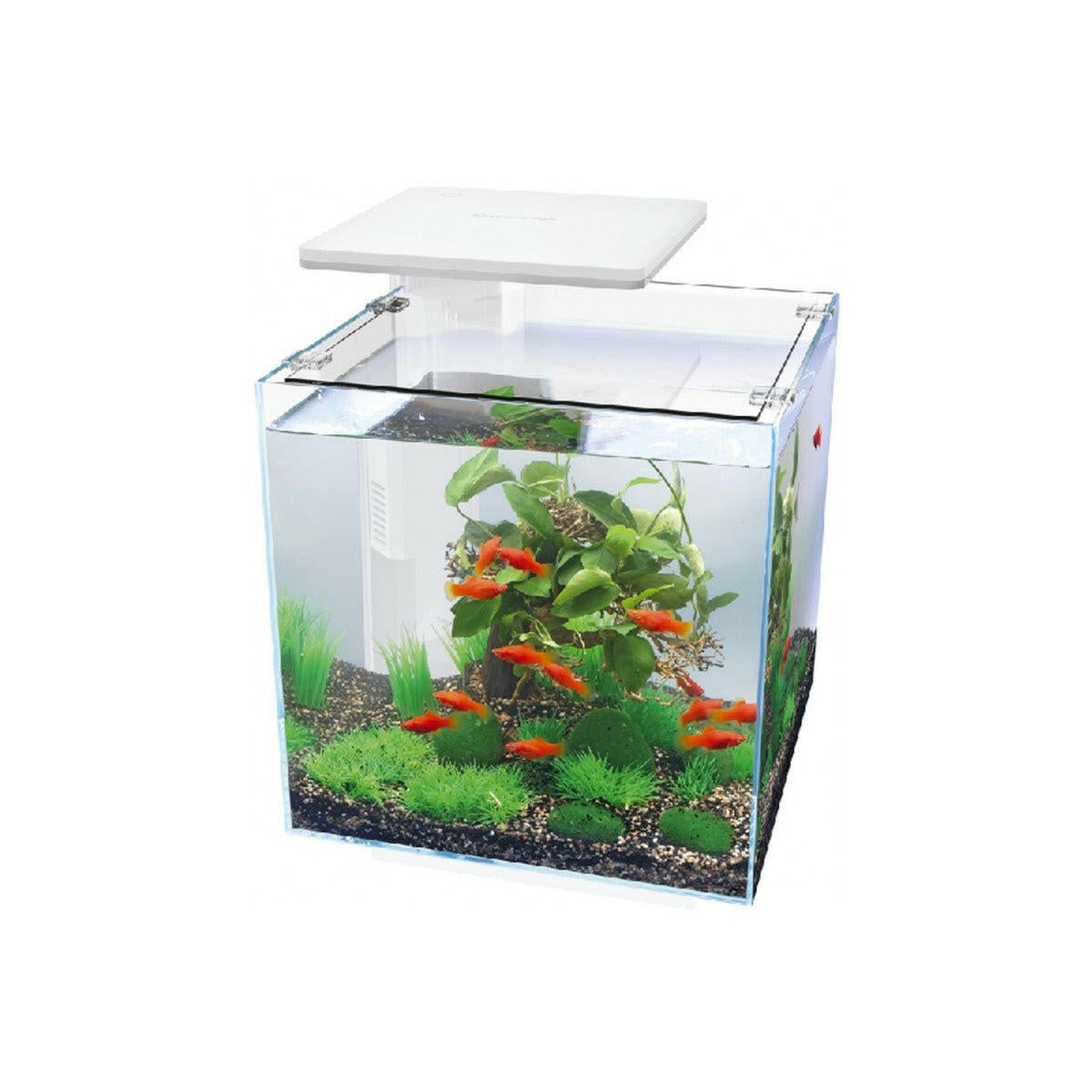 SuperFish QubiQ 30 LED - White | Charterhouse Aquatics