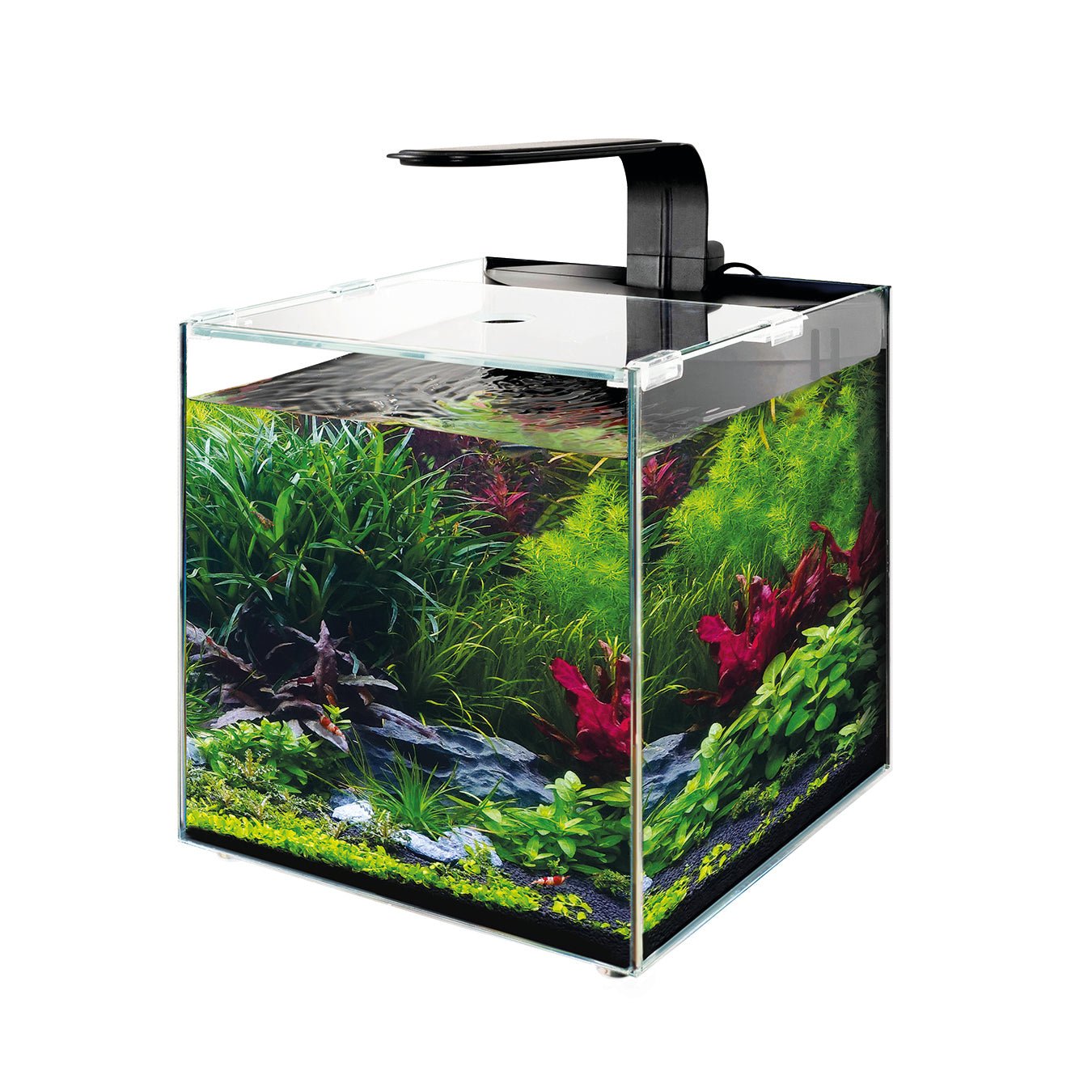 TMC AquaGro Biome Aquarium 15L