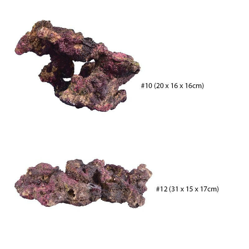 TMC EcoReef Rock - Mixed Box D – Charterhouse Aquatics