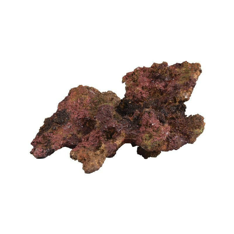 TMC EcoReef Rock Plate - Mixed Box F - Charterhouse Aquatics