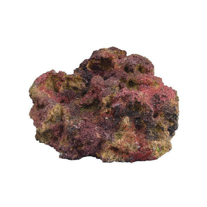 TMC EcoReef Rock Plate - Mixed Box F - Charterhouse Aquatics