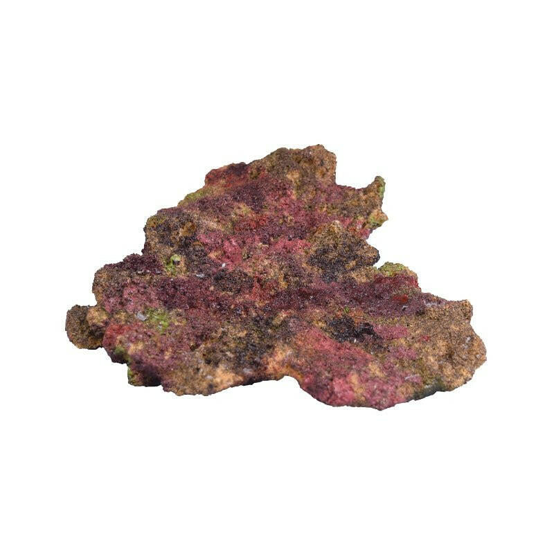 TMC EcoReef Rock Plate - Mixed Box F - Charterhouse Aquatics