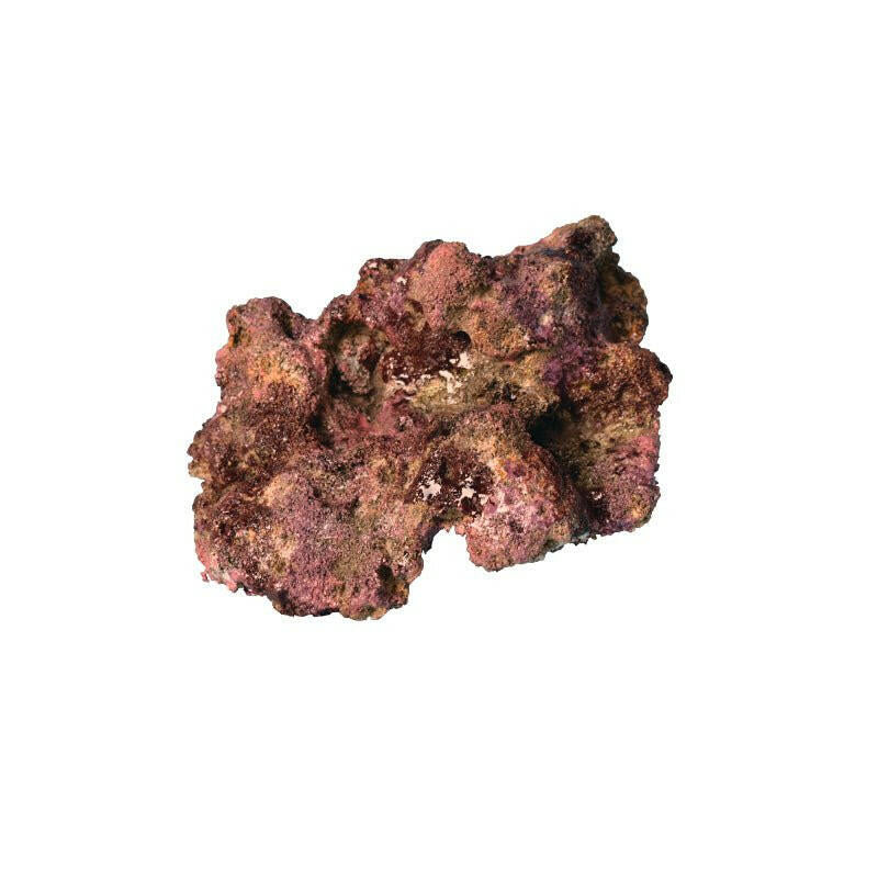 TMC EcoReef Rock Plate - Mixed Box F - Charterhouse Aquatics