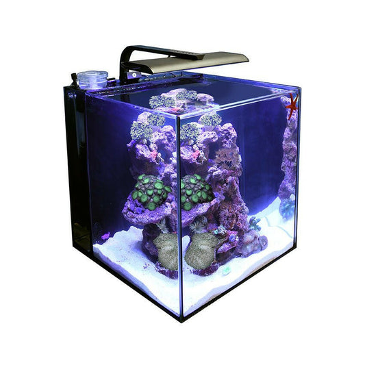 TMC Next Wave 60 Aquarium - Charterhouse Aquatics