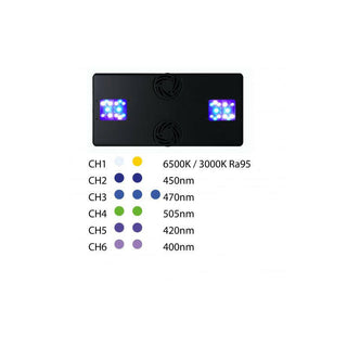 TMC Reef Pulsar LPS-6 LED Light - Charterhouse Aquatics