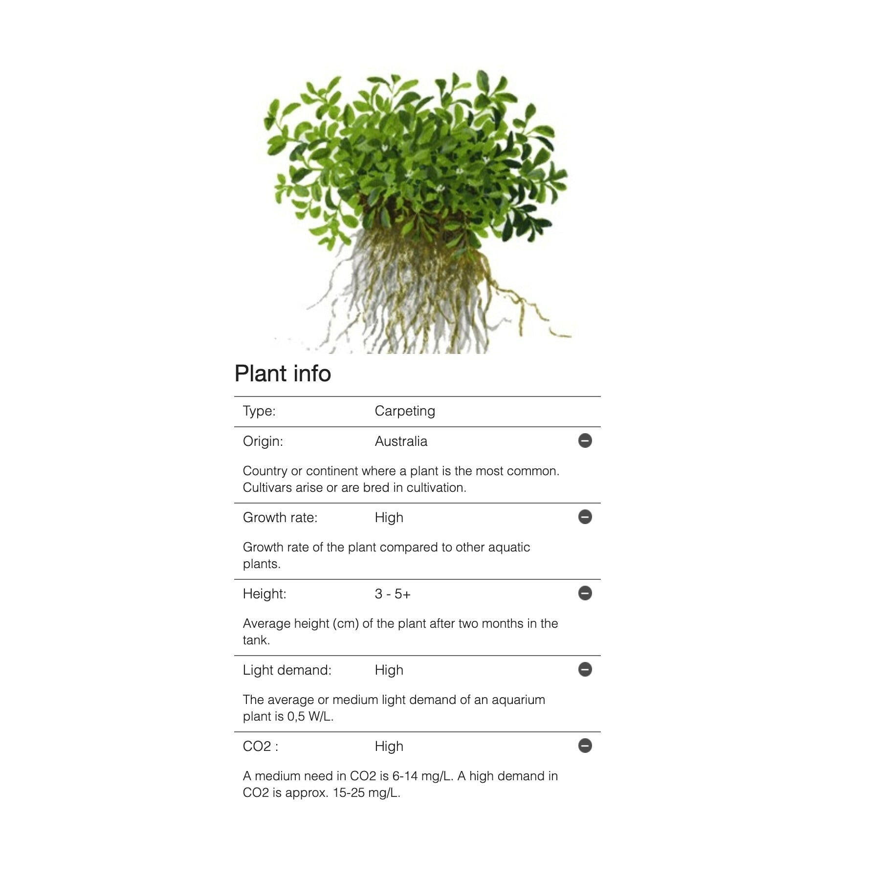 Tropica Glossostigma elatinoides 1-2-Grow - Charterhouse Aquatics