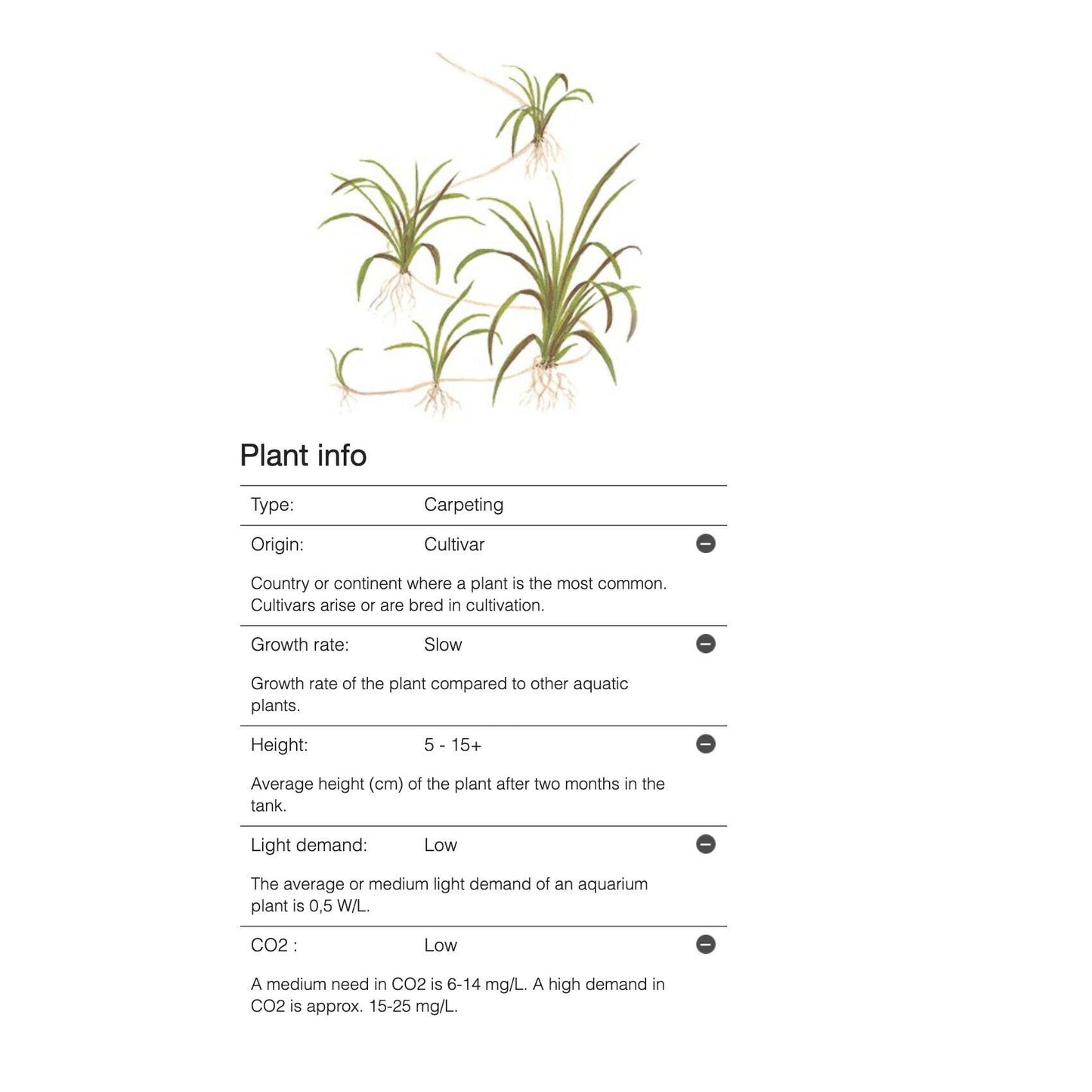 Tropica Helanthium tenellum 'Green' 1-2-Grow - Charterhouse Aquatics