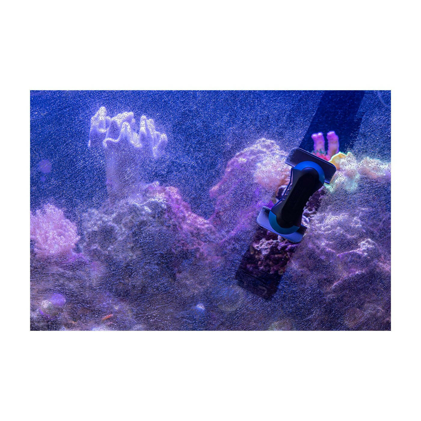 Tunze Care Magnet Nano - Charterhouse Aquatics