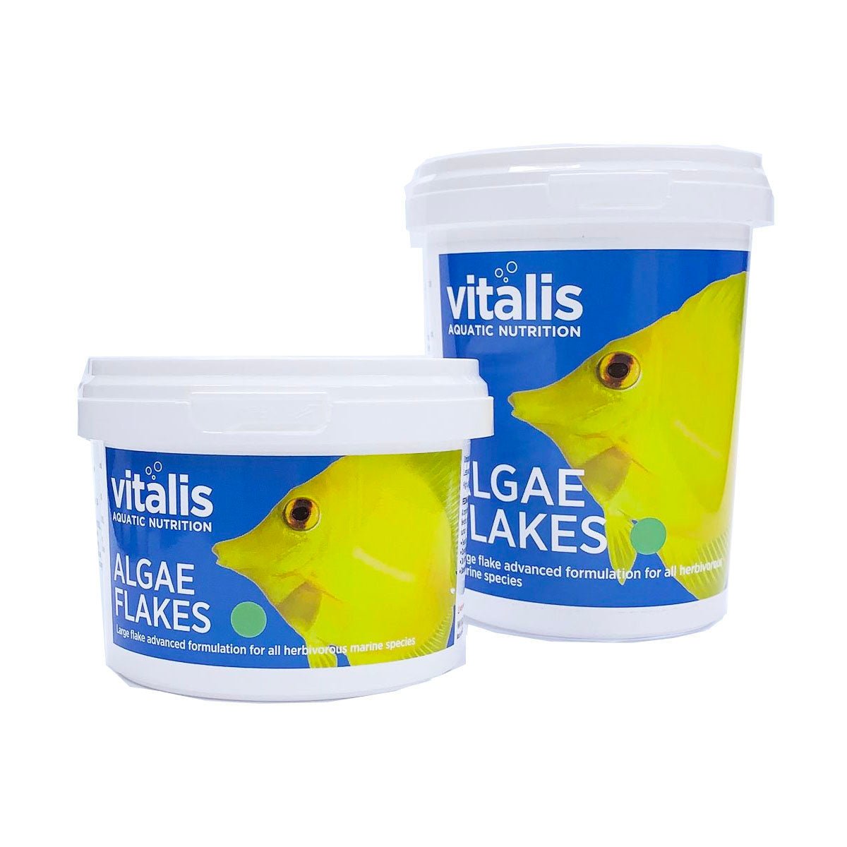Vitalis Algae Flakes 250g - Charterhouse Aquatics