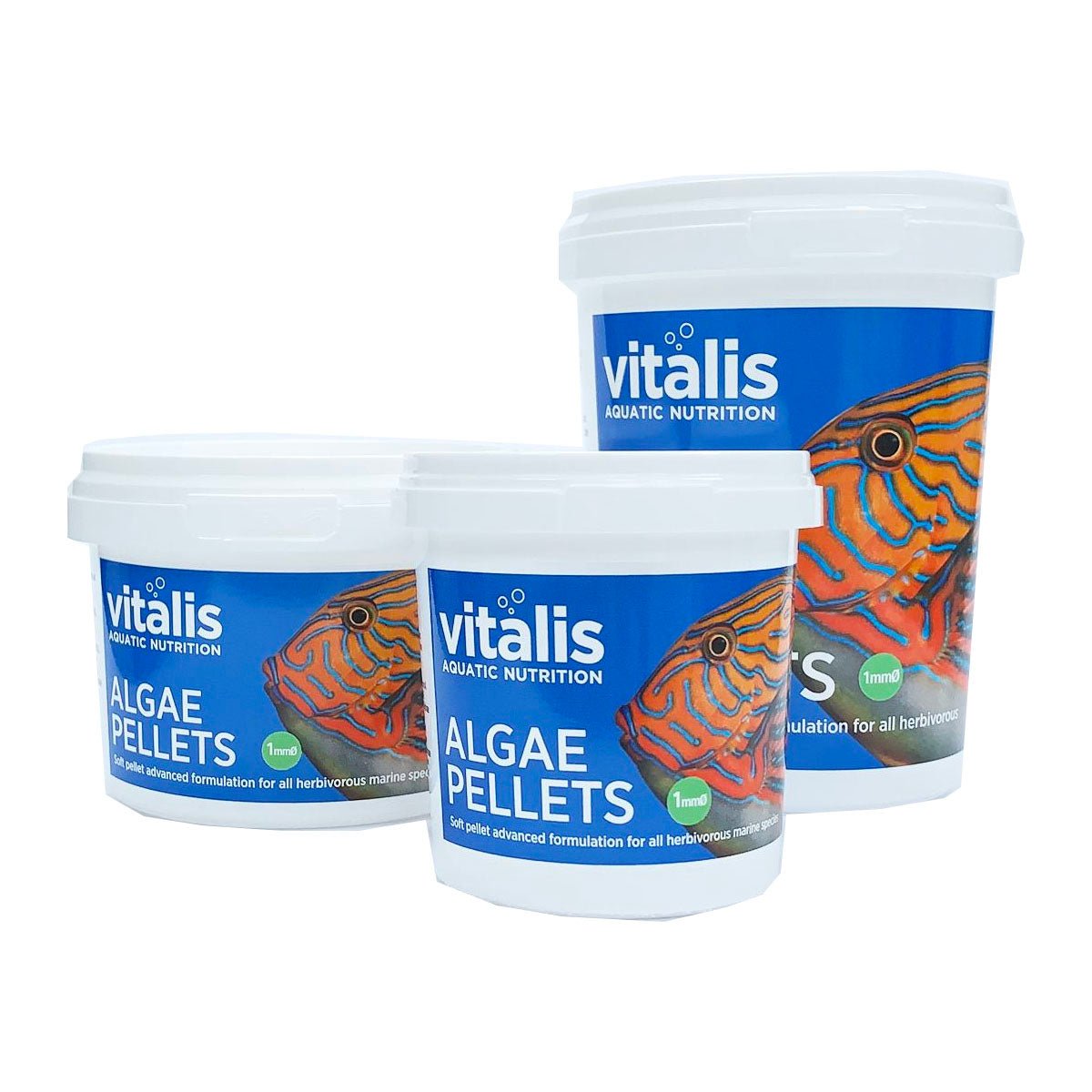 Vitalis Algae Pellets XS (1mm) 140g - Charterhouse Aquatics