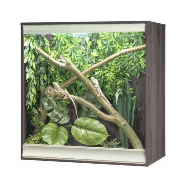 Vivexotic Viva+ Arboreal Vivarium - Medium Grey 86 x 49 x 91.5cm - Charterhouse Aquatics