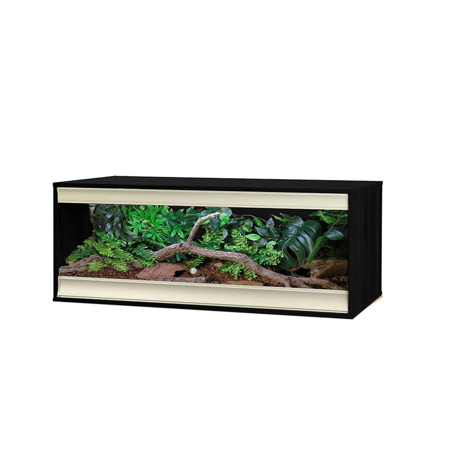 Vivexotic Viva+ Terrestrial Vivarium - Large Black 115x49x50cm - Charterhouse Aquatics