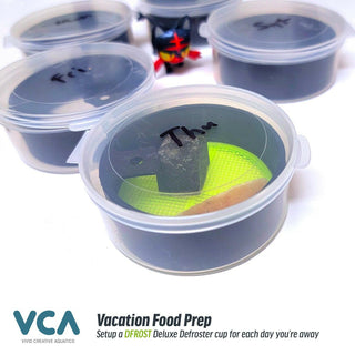 Vivid Creative Deluxe Defroster Cups (2 Pack) - Charterhouse Aquatics