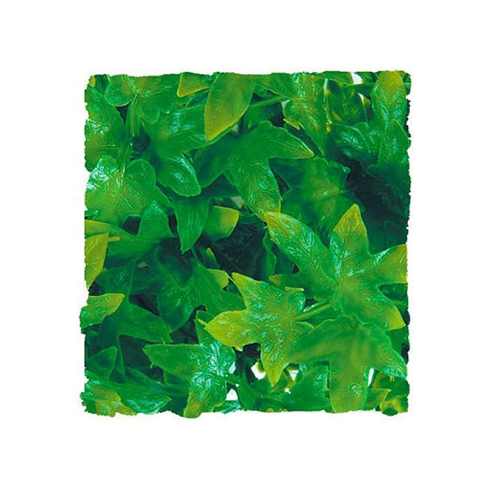 Zoo Med Congo Ivy Large 56cm - Charterhouse Aquatics