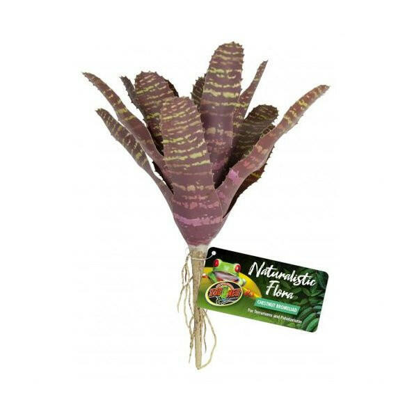 Zoo Med Naturalistic Flora Chestnut Bromeliad - Charterhouse Aquatics