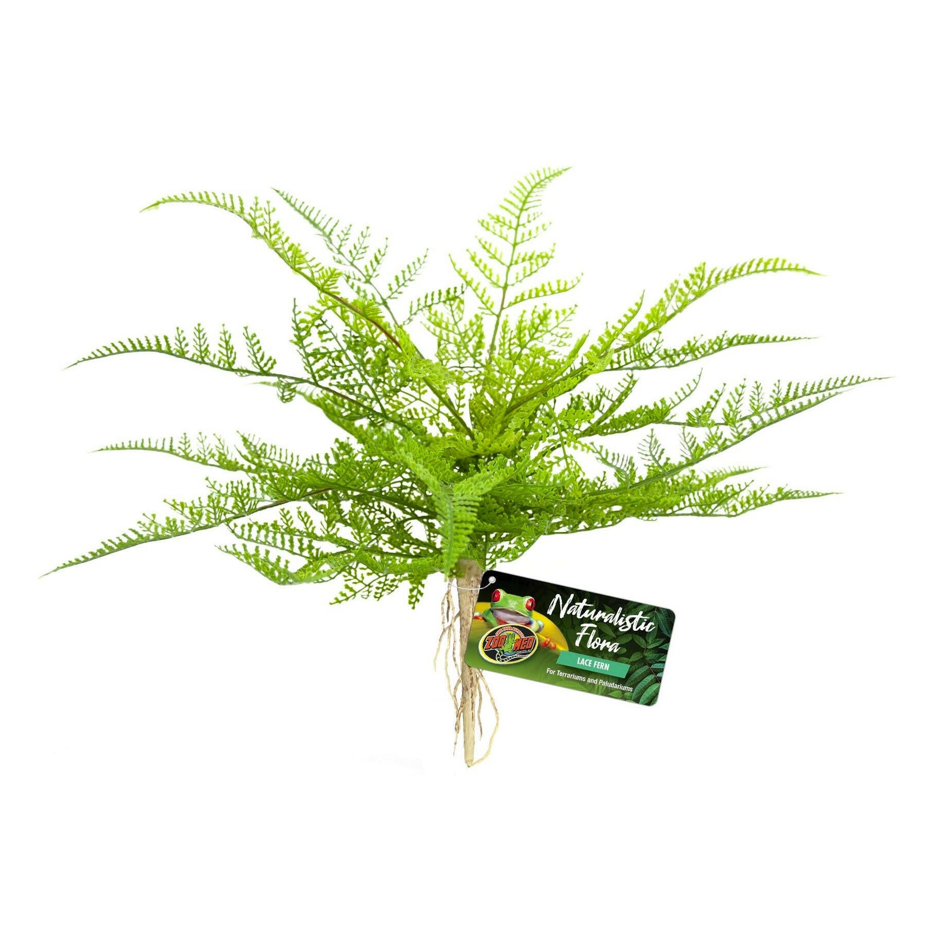 Zoo Med Naturalistic Flora Lace Fern - Charterhouse Aquatics