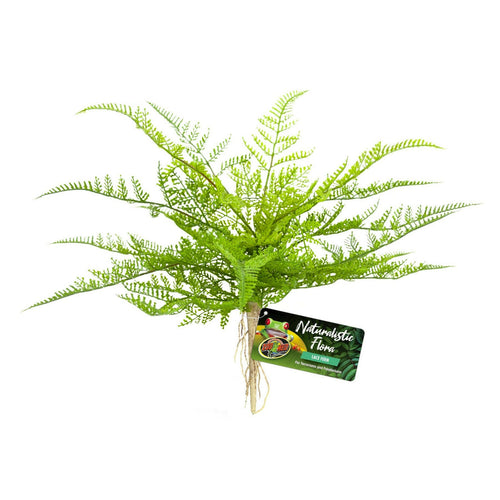 Zoo Med Naturalistic Flora Lace Fern - Charterhouse Aquatics