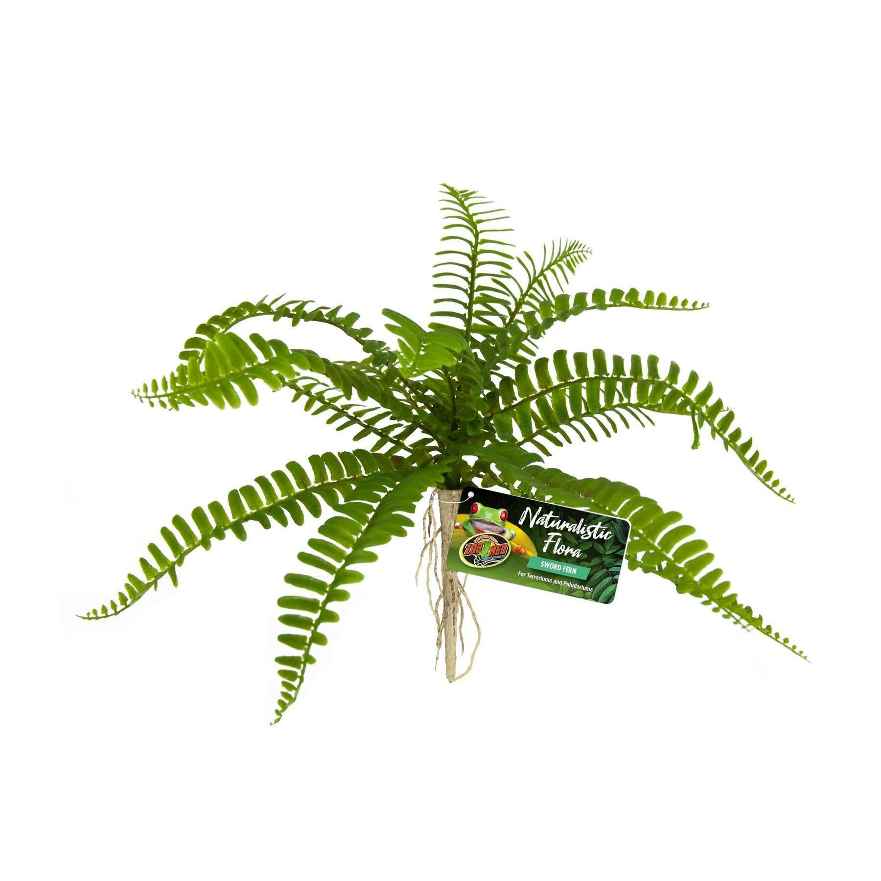 Zoo Med Naturalistic Flora Sword Fern - Charterhouse Aquatics