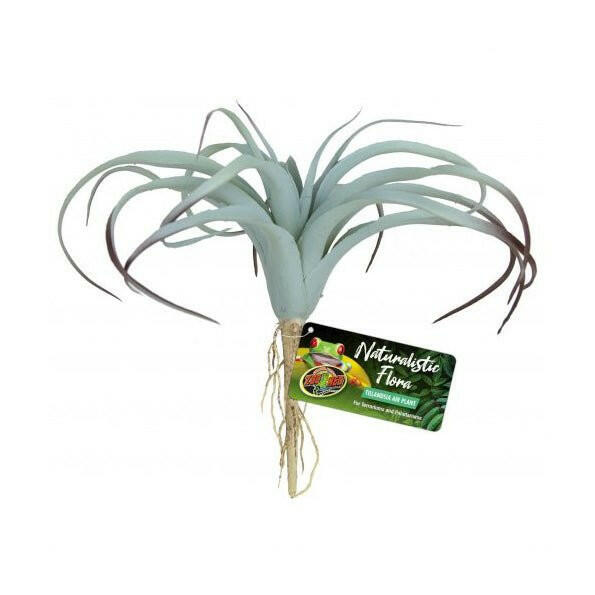 Zoo Med Naturalistic Flora Tillandsia Air Plant - Charterhouse Aquatics
