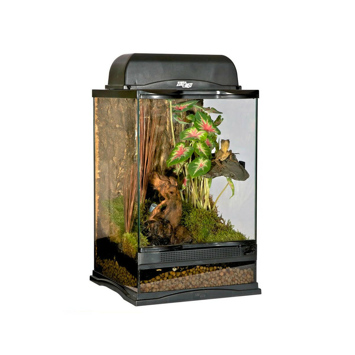 Zoo Med Naturalistic Glass Terrarium 30x30x45cm - Charterhouse Aquatics